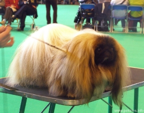 153.jpg