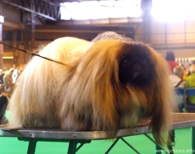 154.jpg