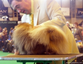 164.jpg