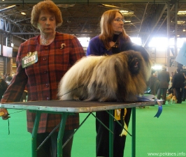 170.jpg
