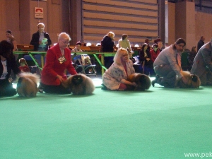 178.jpg