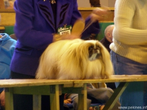 179.jpg