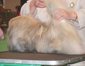 188.jpg