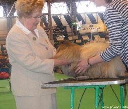 193.jpg