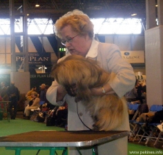 195.jpg