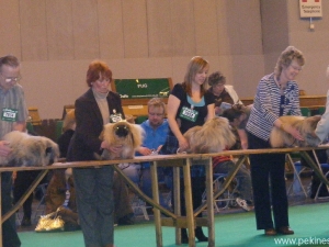 199.jpg