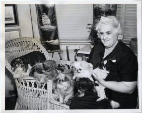 Mrs. Ita Mae McGuire, of Napanee, Ont., poses with part, a small part, of the 23 Pekinese