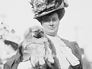 Mrs. Morris Mandy holding a Pekinese at the Mineola Dog Show, 1908.