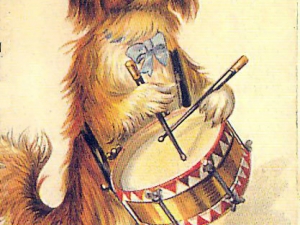19