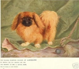 1901.jpg