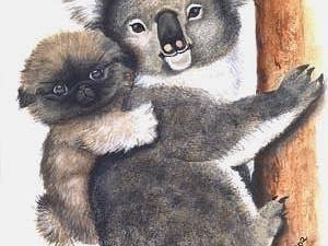 Pekie Back Ride  Australia.jpg
