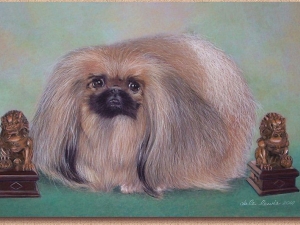 Pekingese_Gigi.jpg