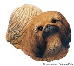 PekingeseOS173.jpg