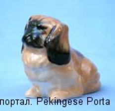 pekingese_k6.jpg