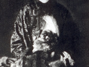 Elsie  Her breed, the Pekingese